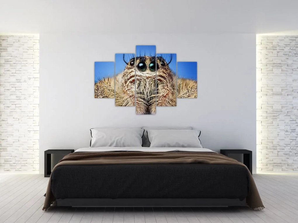 Tablou cu detalii a unui pâianjen (150x105 cm)