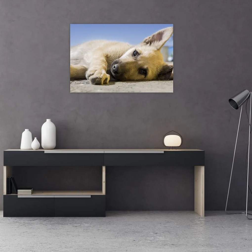 Tablou cu cățeluș dormind (90x60 cm)