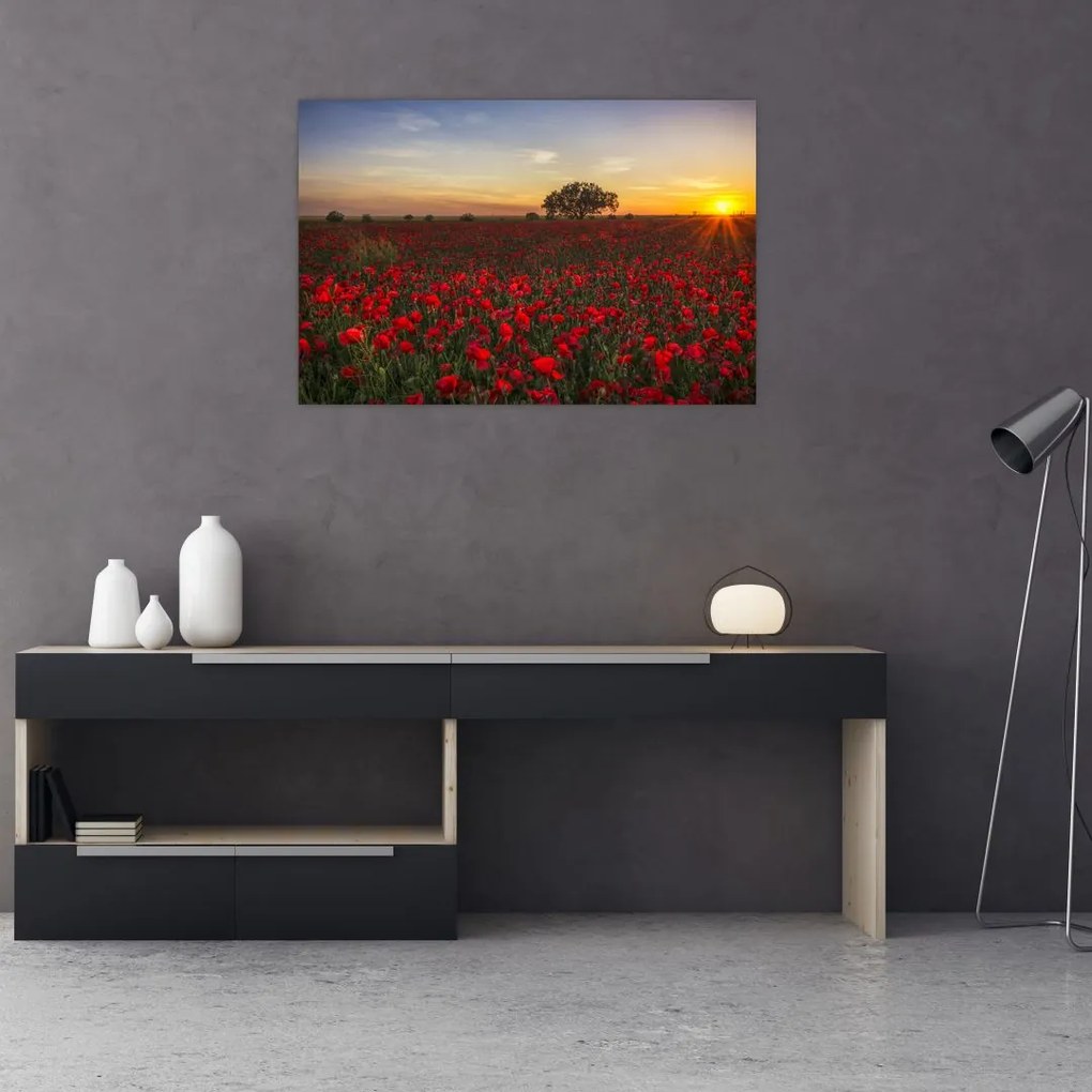 Tablou cu lunca și macii (90x60 cm)