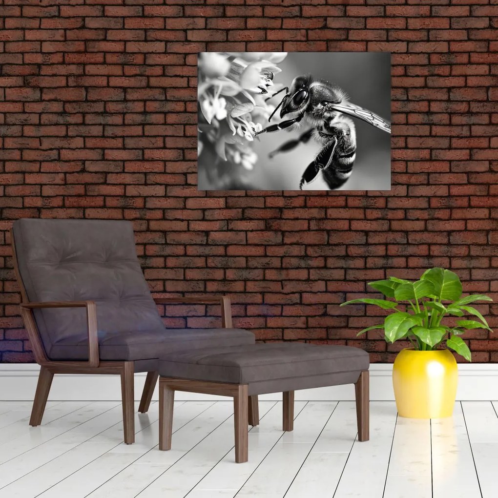 Tablou - Detaliu de albină (70x50 cm)