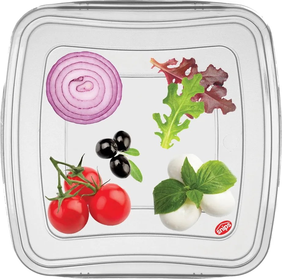 Caserole pentru alimente 3 buc. – Snips