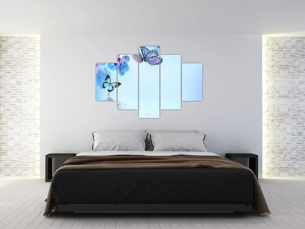Tablou - Fluture pe flori de orhidee, albastru (150x105 cm)