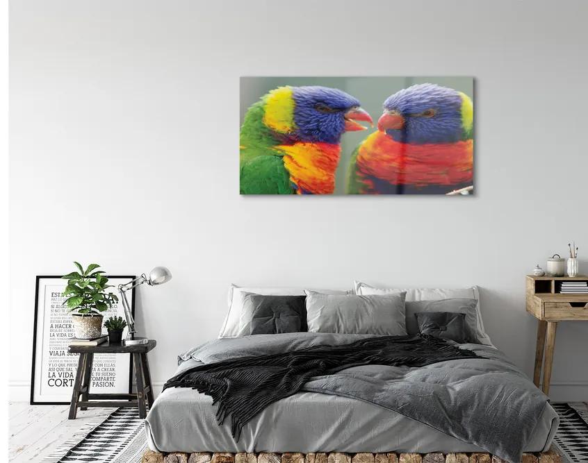 Tablouri acrilice papagal colorat