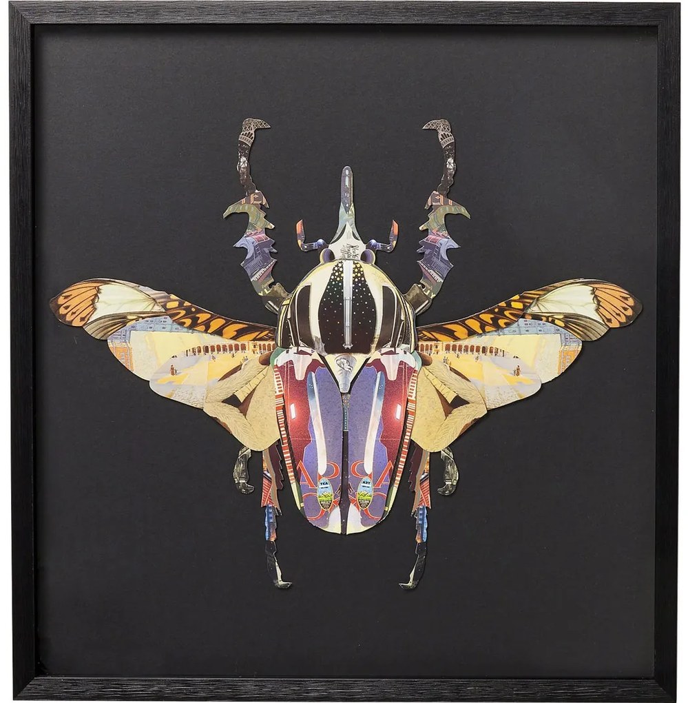 Tablou cu rama Art Beetle 60x60cm