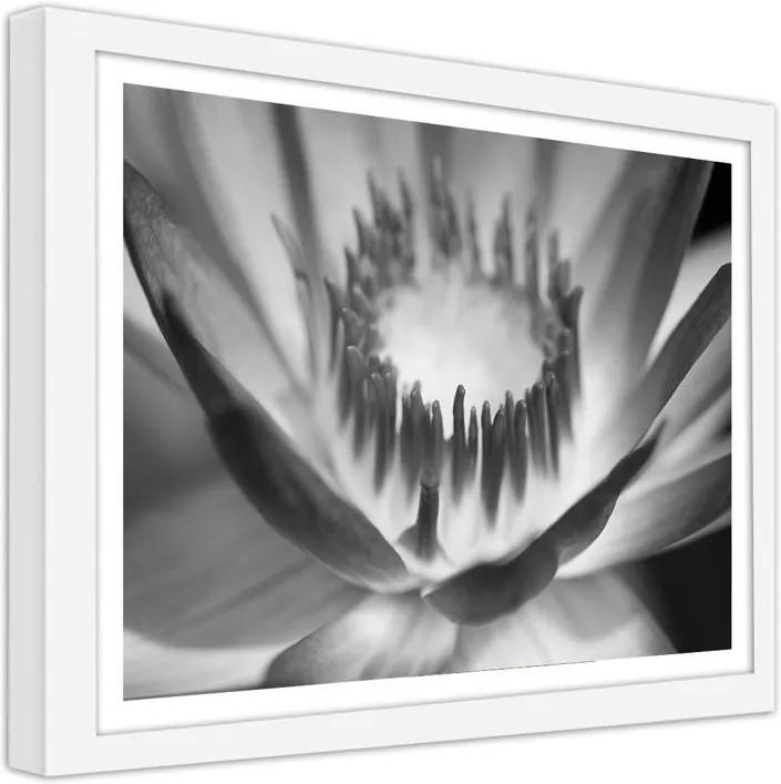 CARO Imagine în cadru - A Lotus Flower 40x30 cm Alb