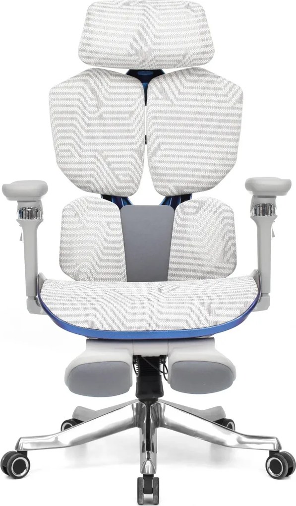 Scaun Ergonomic Premium AirMesh Elite X6D – Cotiere 6D, Suport Lombar Reglabil, Tetieră 4D, Sezut Translatie, Reclinare, Suport Picioare, Mesh, Gri/Colorful