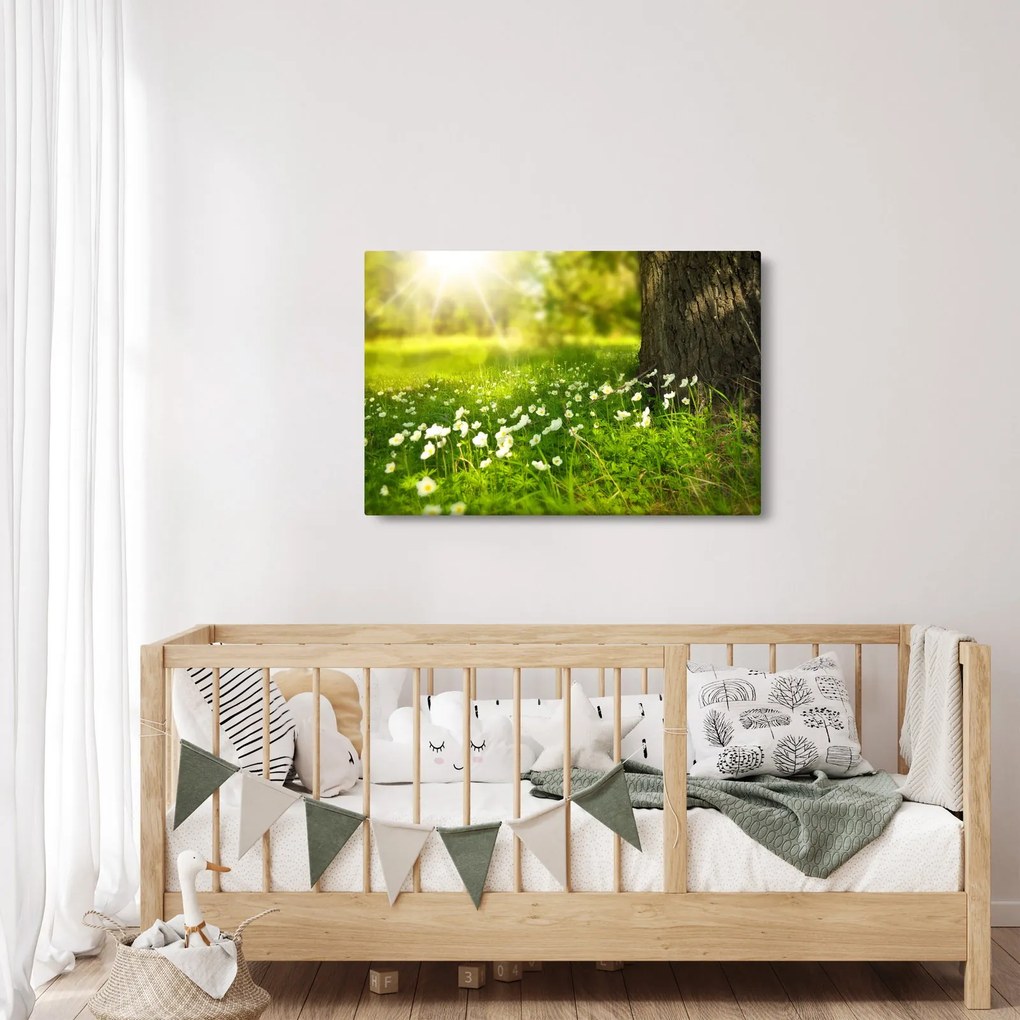 Tablou cu poiana și flori (90x60 cm)