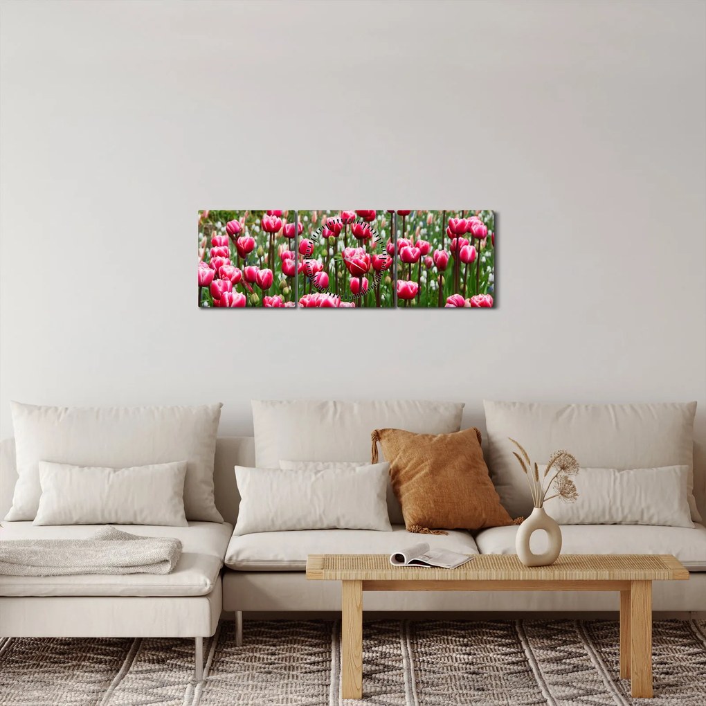 Tablou - Lalele (cu ceas) (90x30 cm)