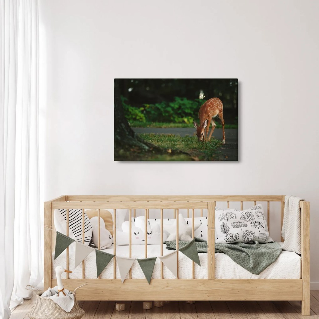 Tablou cu pui de cerb (90x60 cm)