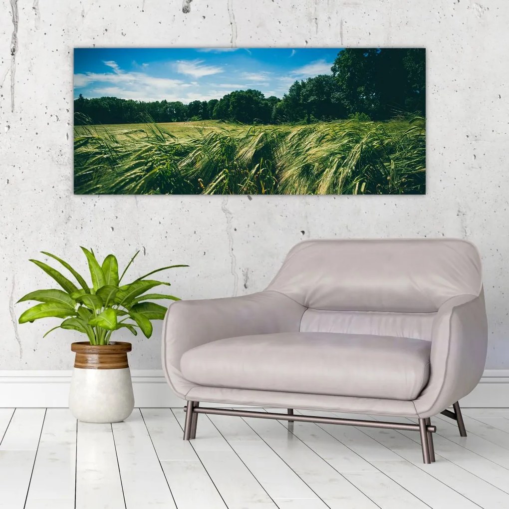 Tablou cu linca și pădure (120x50 cm)