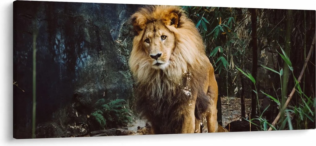 Tablou cu leu în natură (120x50 cm)