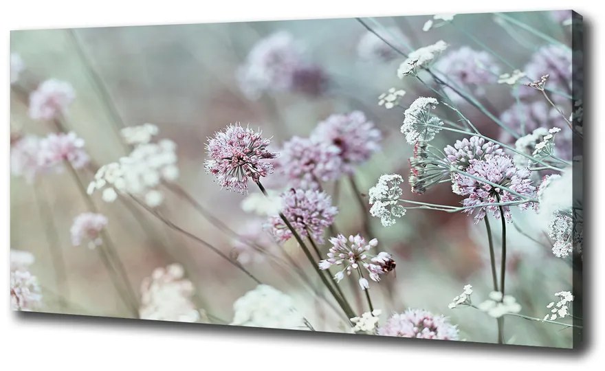 Print pe canvas Flori de câmp