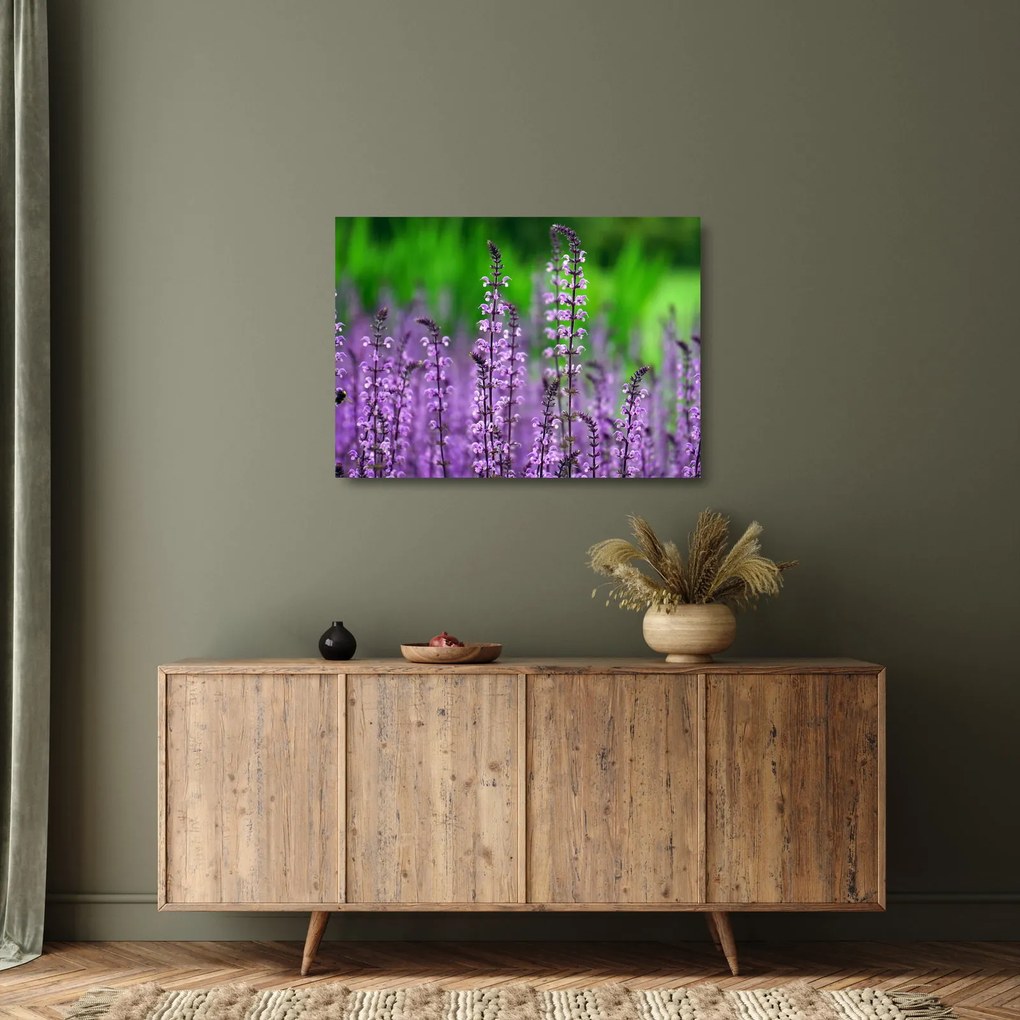 Tablou pe sticlă cu flori de luncă violete (70x50 cm)