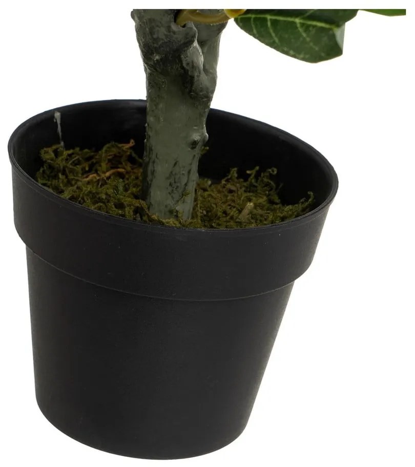 Măslin artificial - Casa Selección