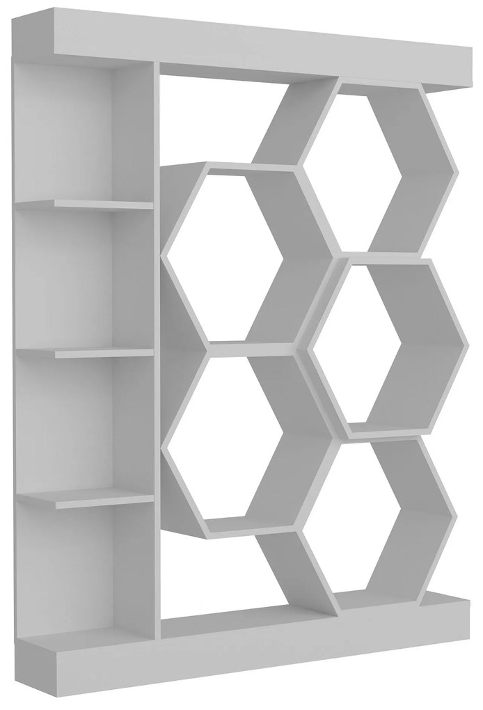 Raft Salix (Alb) . 1102596