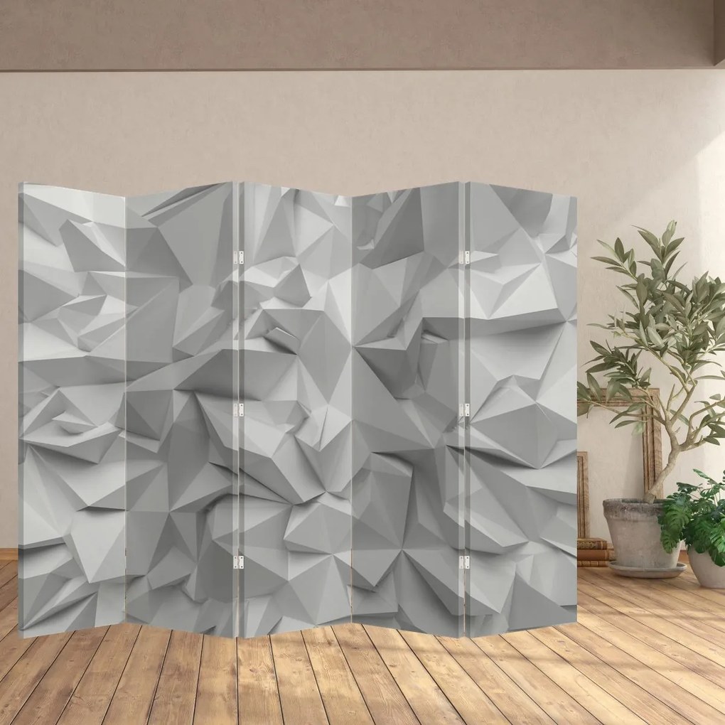 Paravan - Abstracție (210x170 cm)