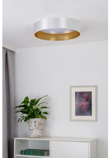 Plafonieră LED Duolla ROLLER LED/24W/230V d. 45 cm argintiu/auriu
