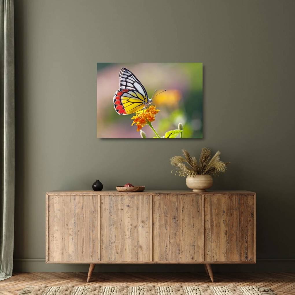 Tablou pe sticlă - Fluture pe floare (70x50 cm)