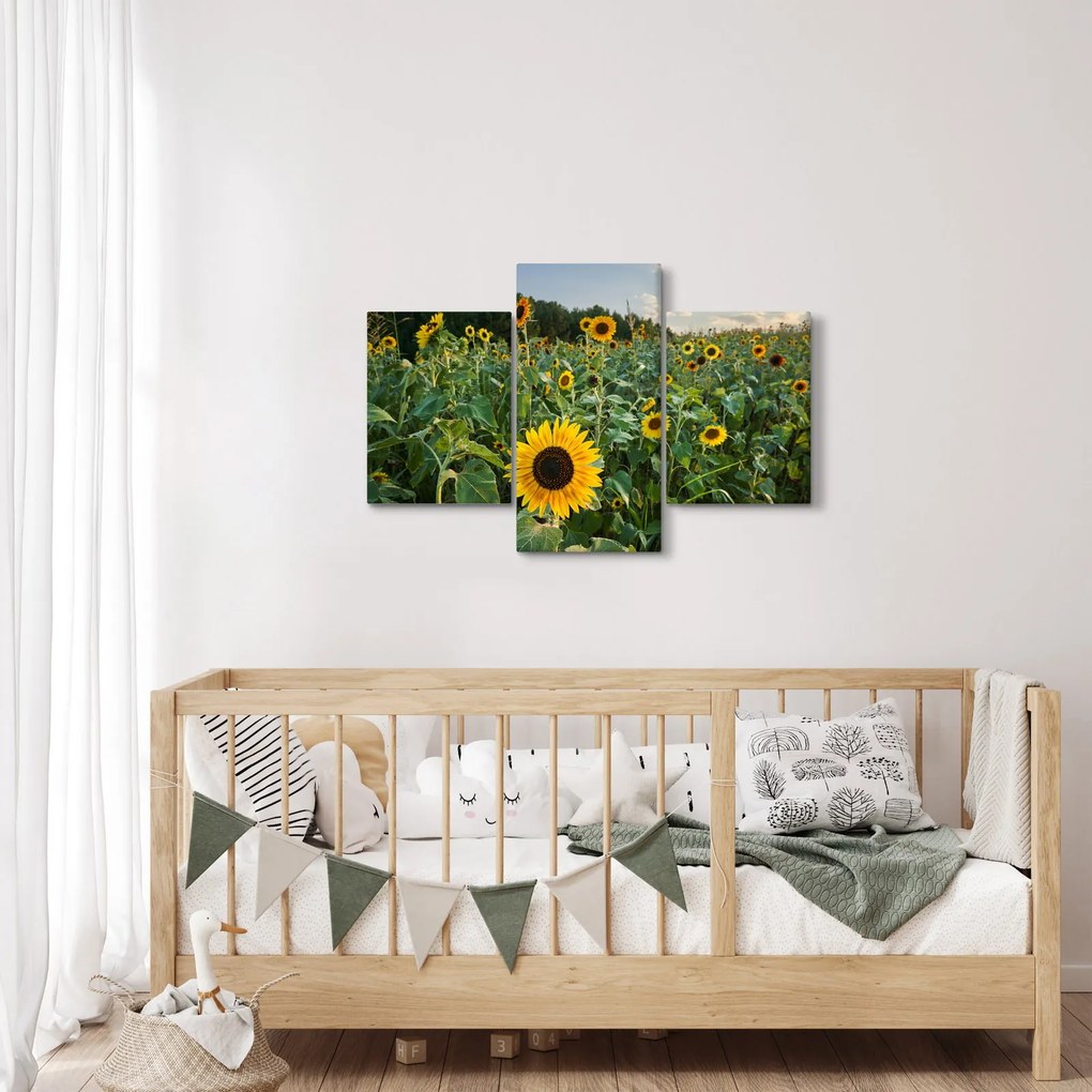 Tablou - Câmpul de floarea-soarelui II. (90x60 cm)