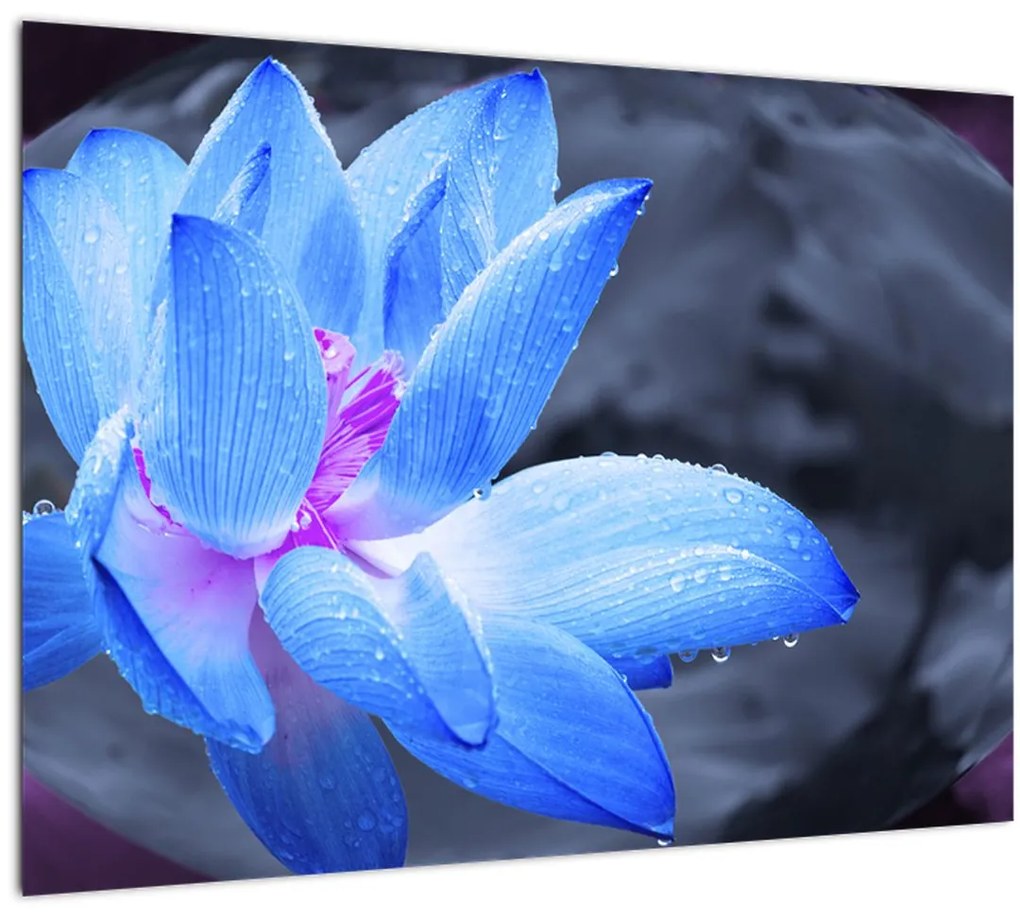 Tablou pe sticlă florilor în detailu (70x50 cm)
