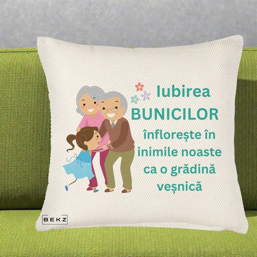 Cadou pentru Bunici - Perna Personalizata Bunicii Iubirea Infloreste cu Nepoata Teal, 40x40 cm, Crem Reliefat, Husa Detasabila, Perna Inclusa, BEKZ®