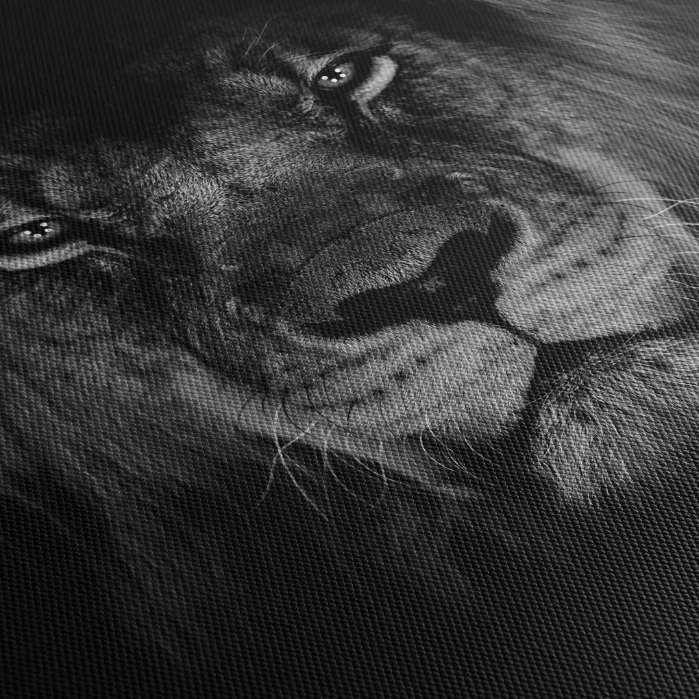 Tablou - Leu majestic (90x60 cm)