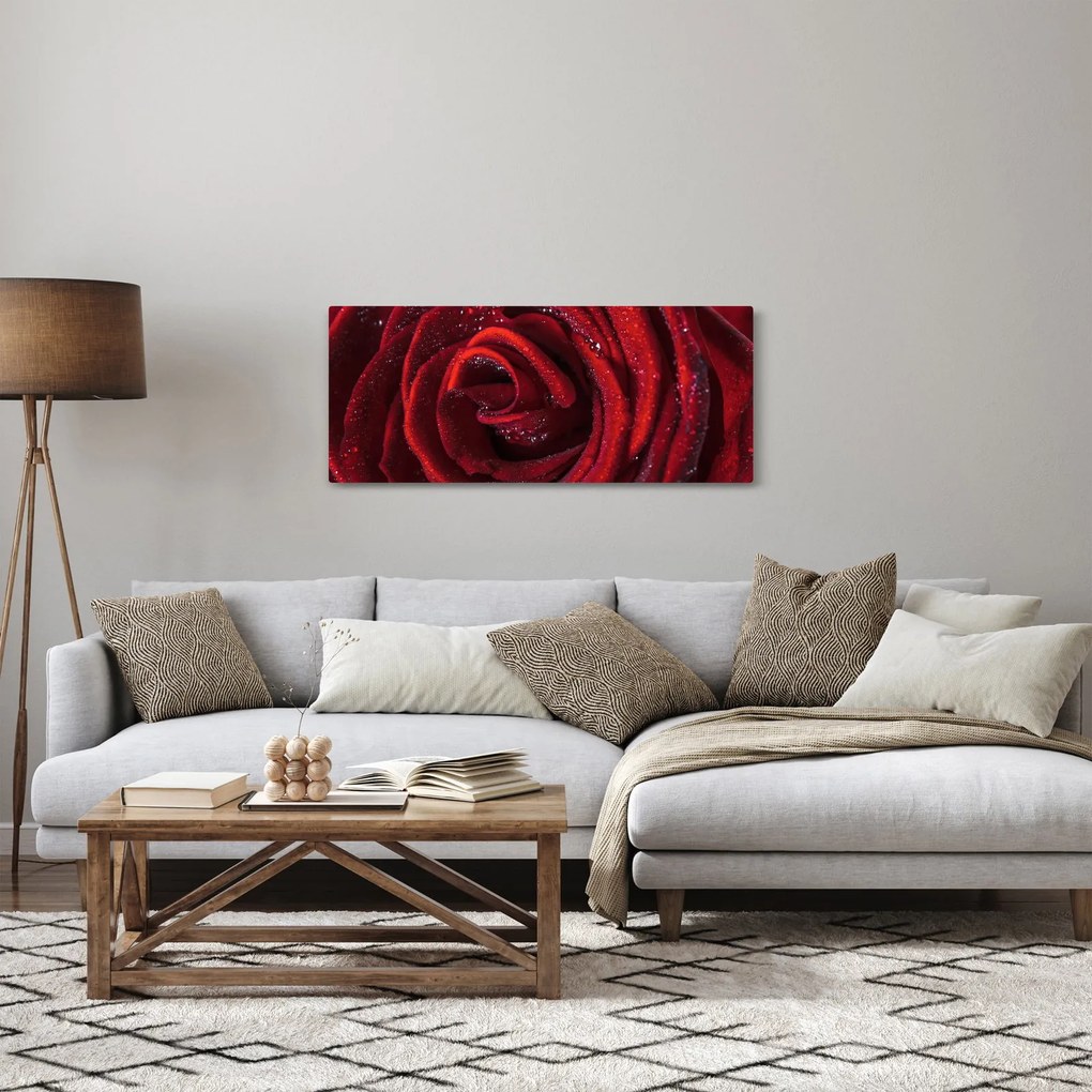 Tablou - Trandafir roșu cu picături de rouă (120x50 cm)
