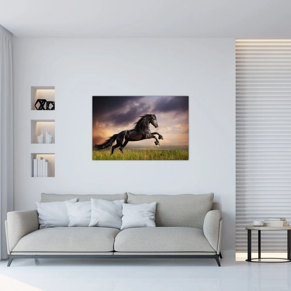 Tablou - Cai (90x60 cm)