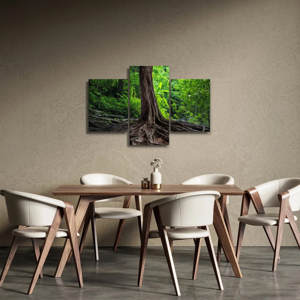 Tablou - Copac bătrîn cu rădăcini (90x60 cm)