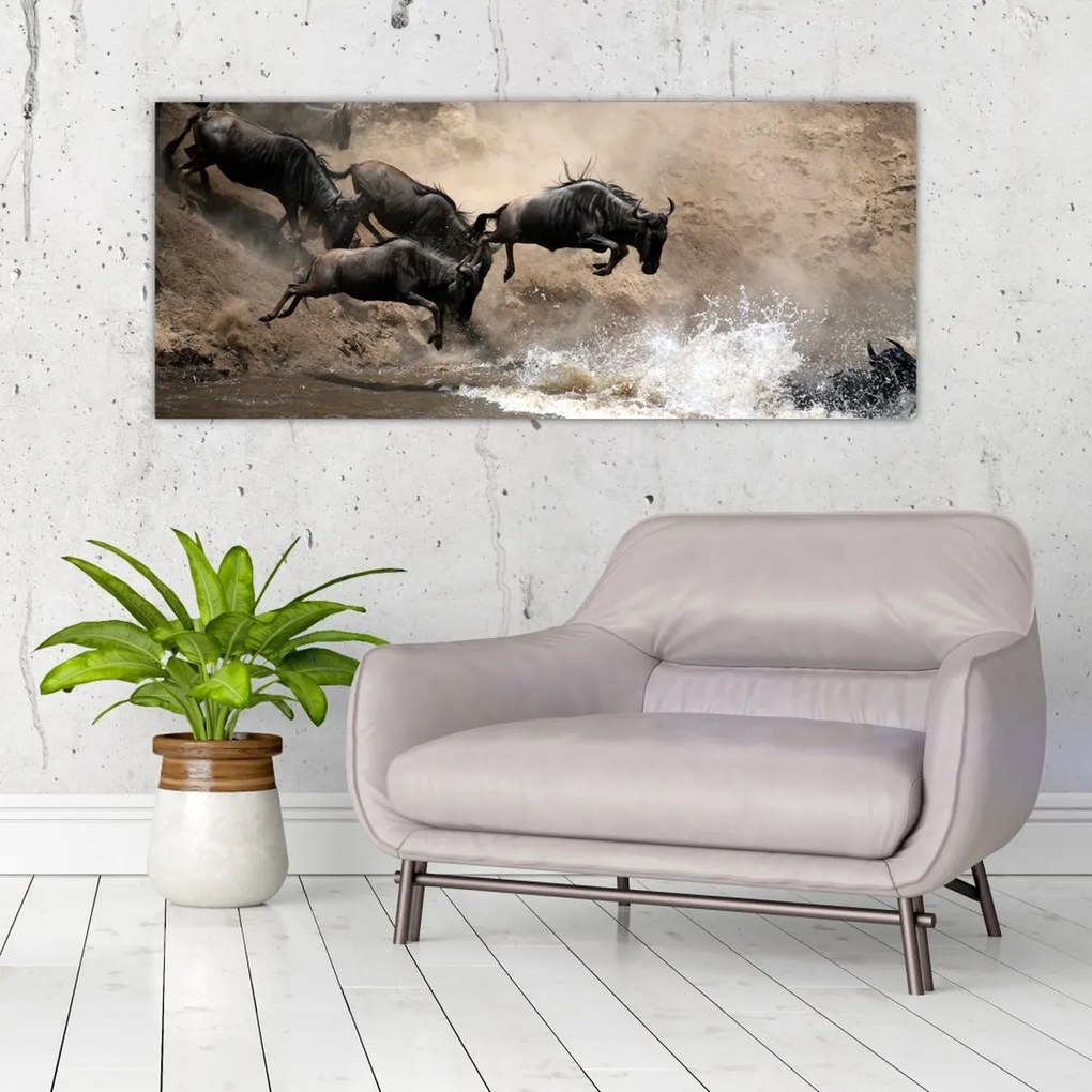 Tablou - Turmă de gnu (120x50 cm)