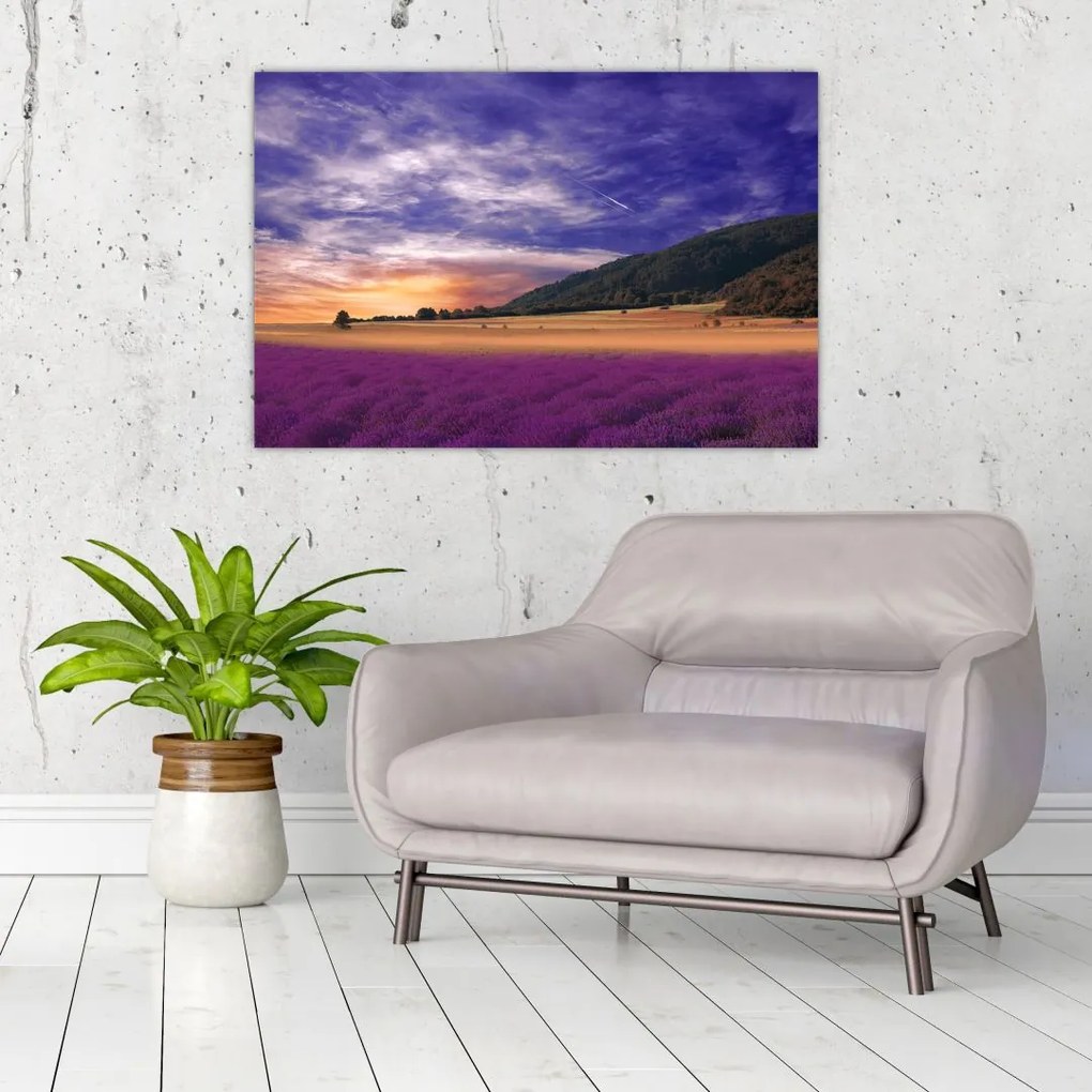 Tablou cu lunca cu lavandă (90x60 cm)