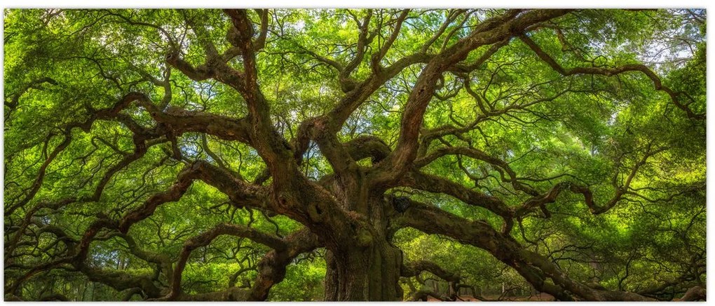 Tablou - Copac verde (120x50 cm)