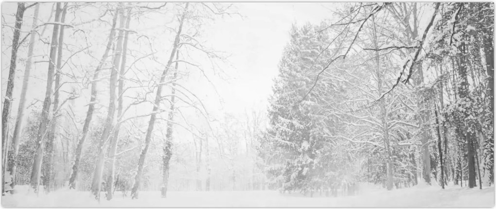 Tablou - Pier de lemn în timpul iernii (120x50 cm)