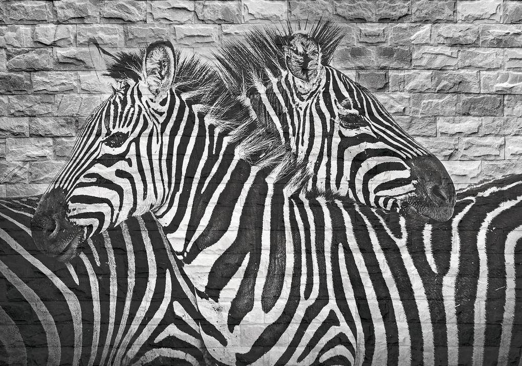 Fototapet - Zebre pe peretele din cărămizi (152,5x104 cm), în 8 de alte dimensiuni noi