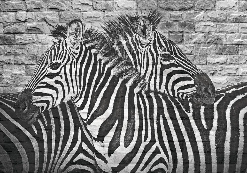 Fototapet - Zebre pe peretele din cărămizi (254x184 cm), în 8 de alte dimensiuni noi