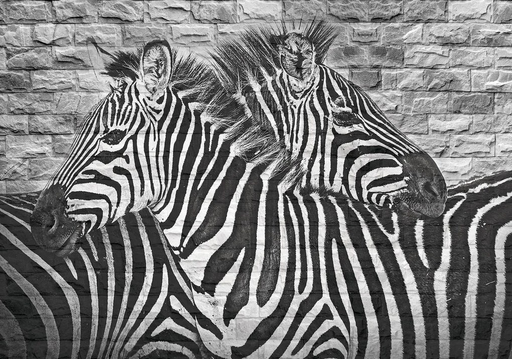 Fototapet - Zebre pe peretele din cărămizi (254x184 cm)