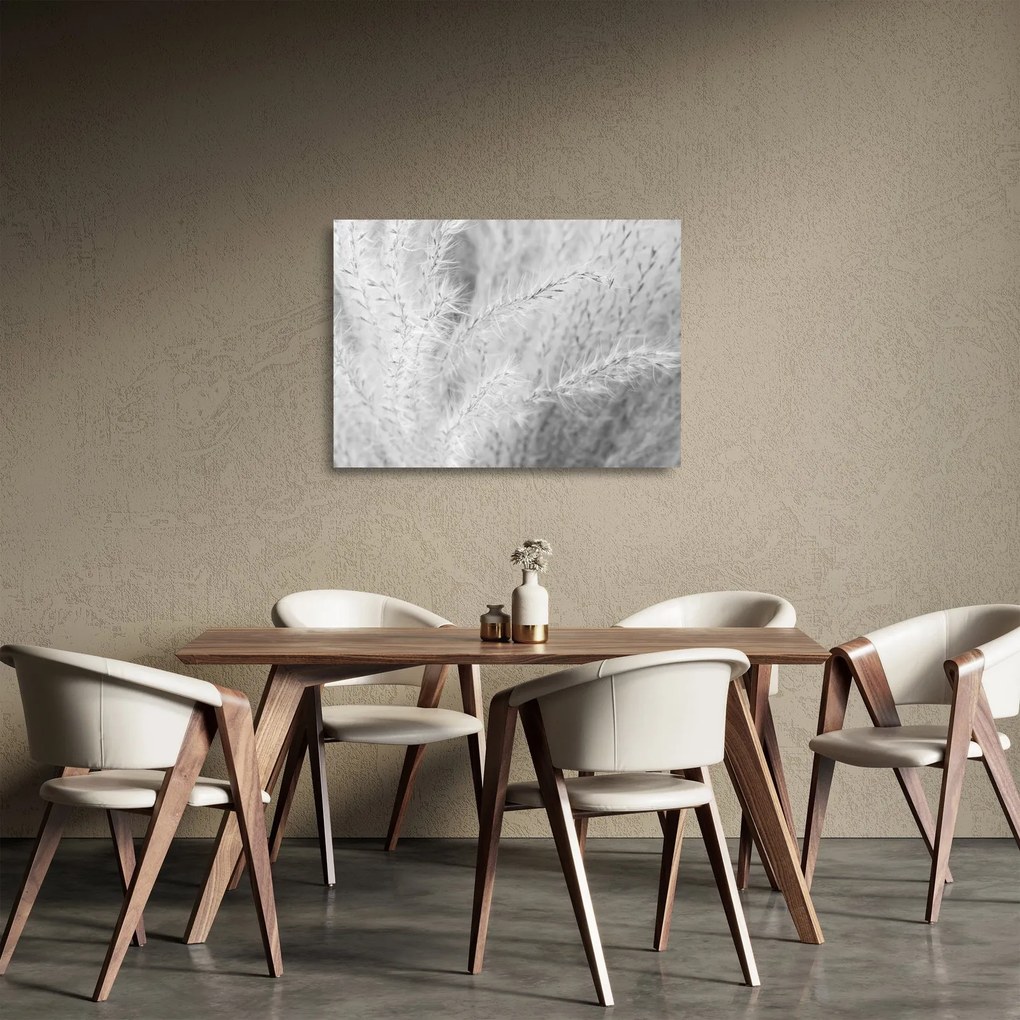 Tablou pe sticlă - Iarbă de pampas N⁰1 (70x50 cm)