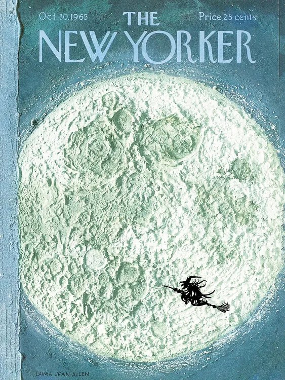 Ilustrație The NY Magazine Cover 243