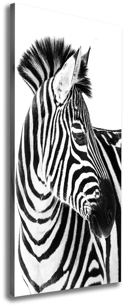 Pictură pe pânză Zebra în zăpadă