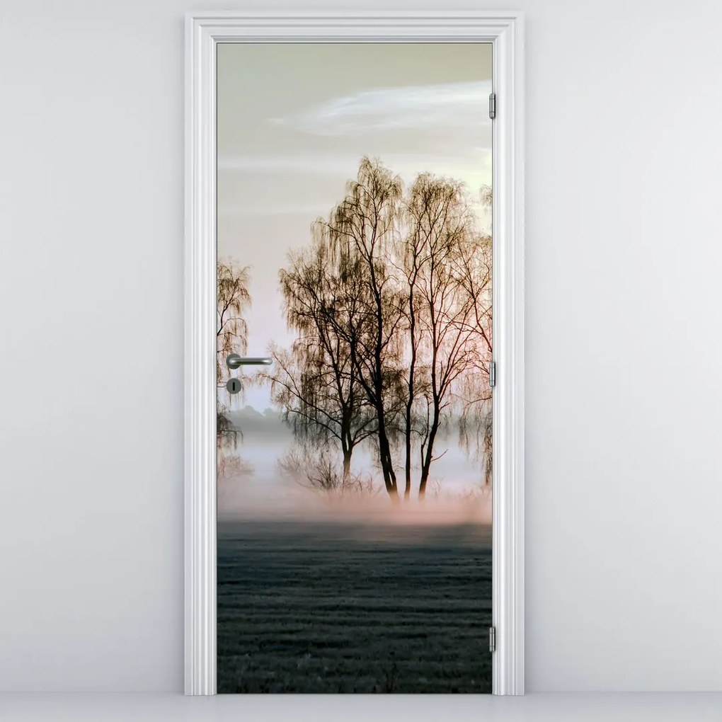 Fototapet pentru ușă - Ceața de dimineață (95x205cm)