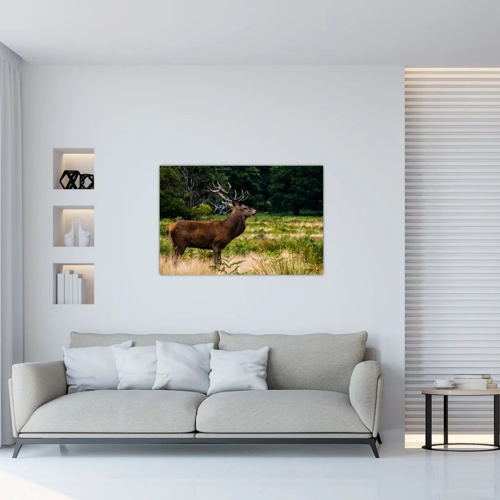 Tablou cu cerb (90x60 cm)