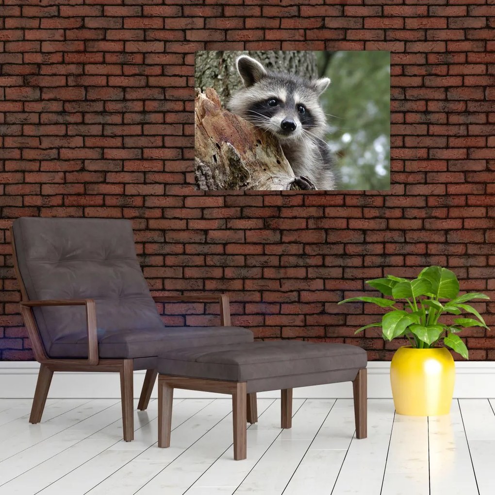 Tablou - Raton (70x50 cm)