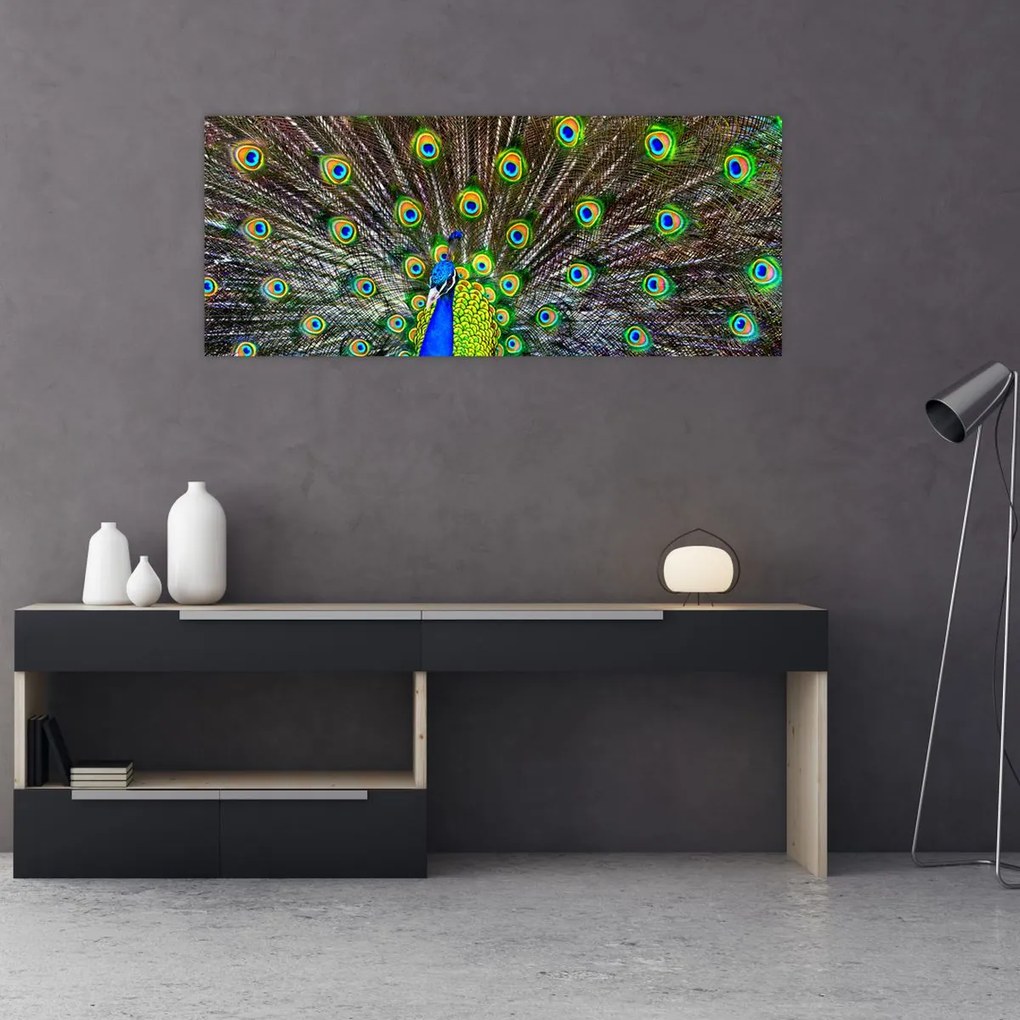 Tablou - Păun (120x50 cm)