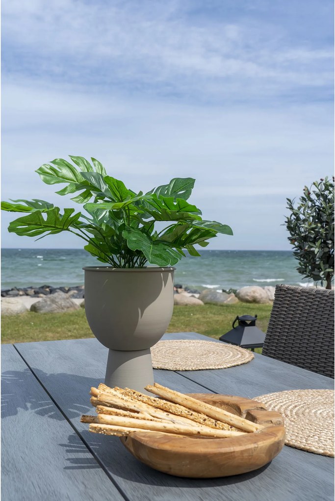 Monstera Minselia 2 (verde). Promo -10%. 1147174