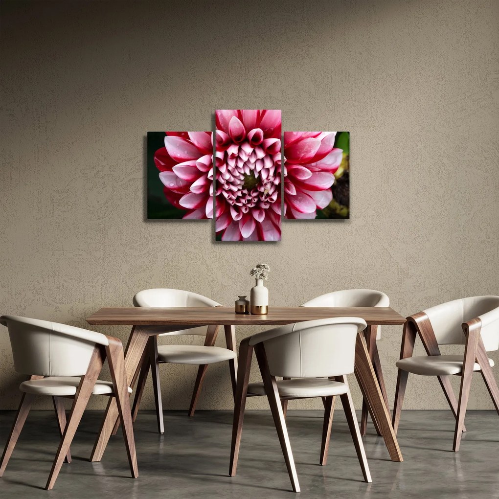 Tablou cu dalie roz (90x60 cm)
