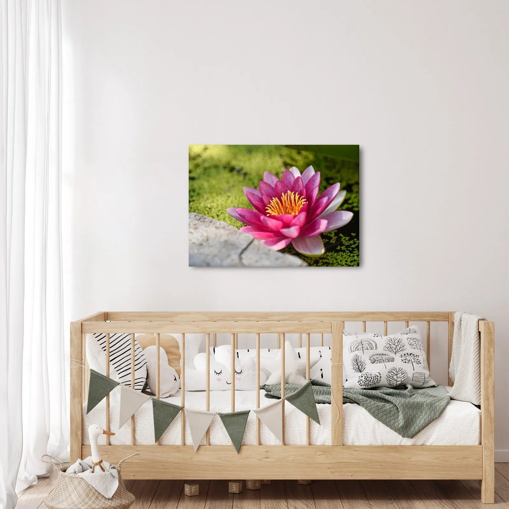 Tablou - Lotus (70x50 cm)