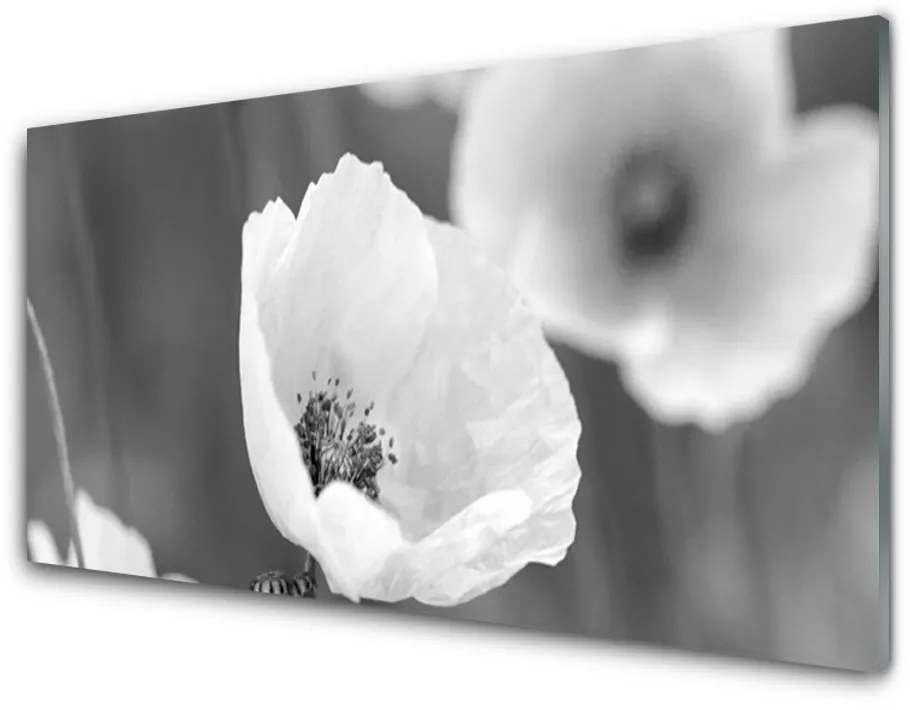 Tablou pe sticla Maci Floral Gray