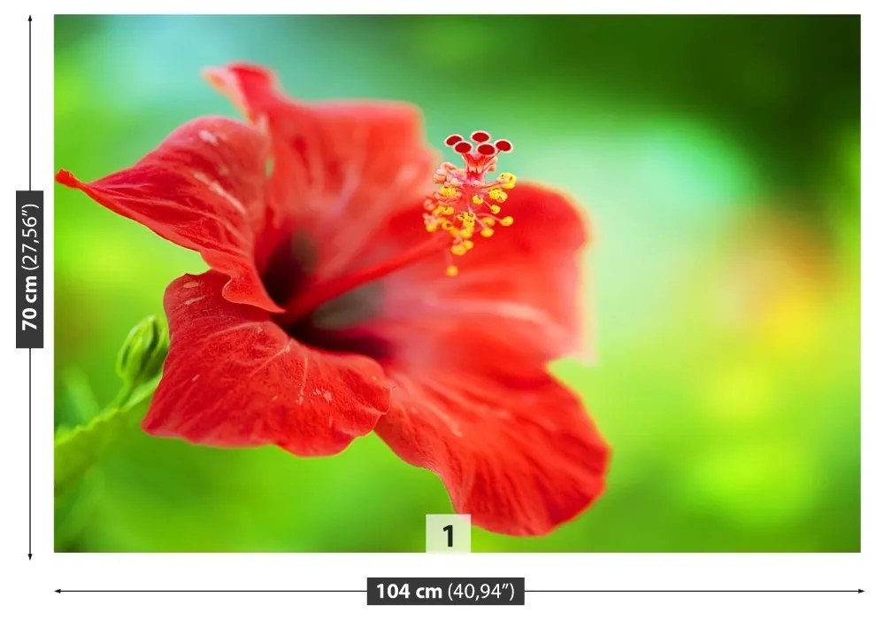 Fototapet Hibiscus roşu