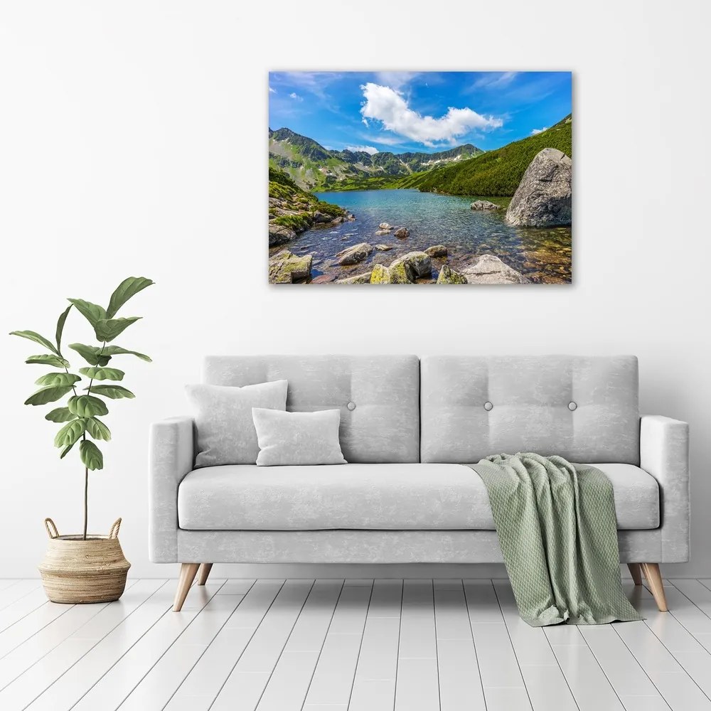 Tablou pe pânză canvas Tatra valley