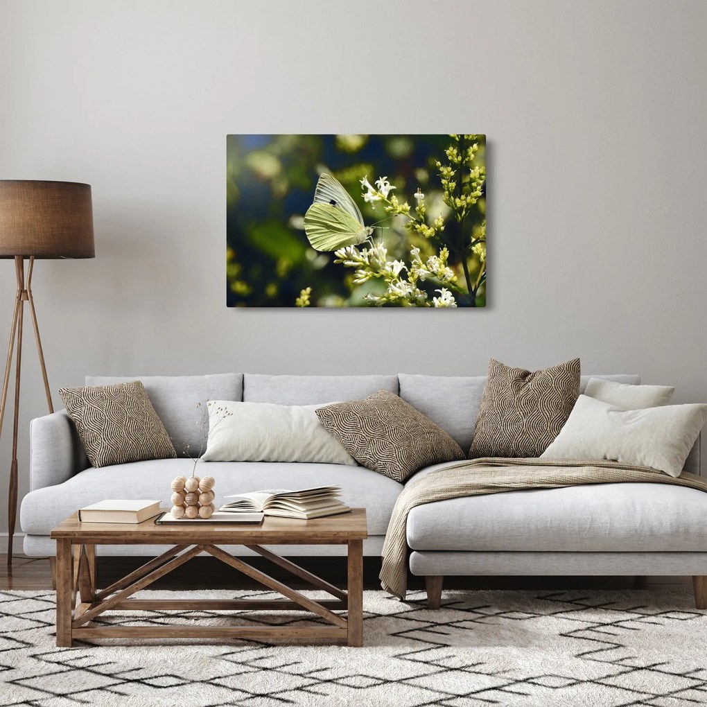 Tablou cu fluture (90x60 cm)